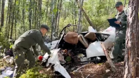 Уголовное дело возбудили в Приамурье после крушения вертолета