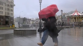 雨の強い風に警告モスクワのデパートラン