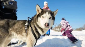 In den Vororten in der Nacht vom 24. und 25. Februar kommen 20-Grad Frost