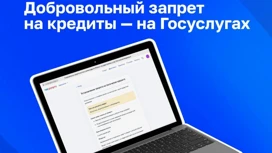 23,5 тыс. оренбуржцев уже установили самозапрет на кредиты через "Госуслуги"