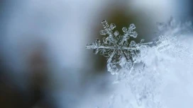 Nel pomeriggio del 6 marzo, l'aria di Udmurtia si riscalda fino a -1...-6 ° C