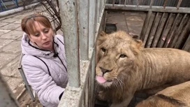 Звери мариупольского зоопарка спасались от обстрелов ВСУ в берлогах