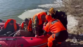 На Оке в Калужской области с отколовшейся льдины спасли 17 человек