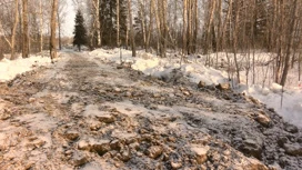 I residenti del villaggio di Tyumen sono preoccupati per la distruzione delle piantagioni forestali