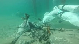 Mais de 200 sacos de óleo de combustível levantou mergulhadores do fundo do Mar Negro em Anapa hoje