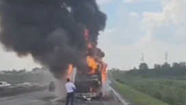 Пожар в автобусе в Тюмени обошелся без пострадавших