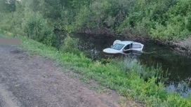 В Бузулукском районе водитель авто вылетел в кювет и погиб