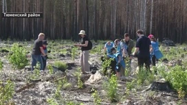 Посадку новых деревьев в Тюменском районе приурочили к 80-летнему юбилею области