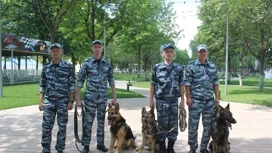 На Кубани пенсионера с амнезией почти неделю искали в лесу с собаками