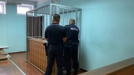 В Ярославле вынесли приговор участнику группы "телефонных" мошенников