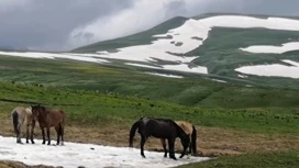 Выходные на Кубани начнутся с грозовых дождей