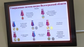 "Первая высота" и другие новые награды появятся в Волгоградской области