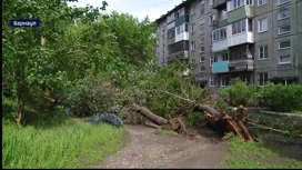 В Алтайском крае устраняют последствия сегодняшней ливневой бури