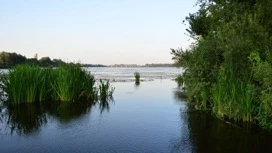 30,9 млн за загрязнение реки Становая Ряса заплатит водоканал под Липецком