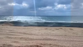 Ein und ein halbe Kilometer Netze wurden auf der Schutzwelle in Anapa ersetzt