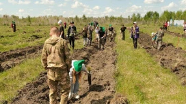 Более 300 000 деревьев высадили в Тюменской области по "Зеленой формуле" СИБУРа