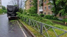 Мэр Ярославля Артем Молчанов рассказал о ликвидации последствий сильного дождя