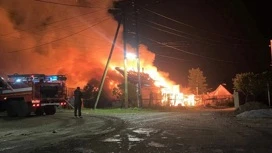 В Челябинской области мужчина получил ожоги, спасая собаку из пожара