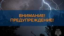 Гроза с сильным ветром может прийти в Марий Эл 4 июня