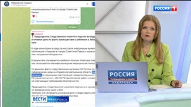 Уголовное дело по факту падения ребенка в канализационный колодец поручил возбудить глава СК РФ