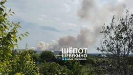 Женщина ранена во время минометного обстрела Шебекина