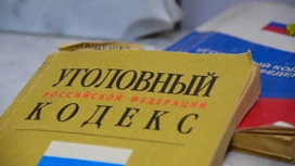 Задержали в Казахстане: еще один обвиняемый в убийстве подростка в Челябинске пойдет под суд