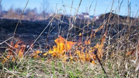 Высокая пожароопасность сохраняется во многих районах Костромской области