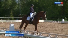 В Новгородском районе прошли Чемпионат и первенство области по конному спорту в дисциплине "выездка"