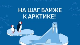 Школьники Кубани смогут отправиться на Северный полюс