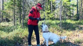 Сегодня в Приморском округе завершились тренировки собак-поисковиков