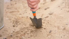 In Anapa will test a new method of cleaning Sand from fuel oil