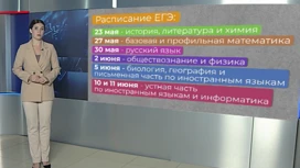 В красноярском крае почти 14,5 тысяч одиннадцатиклассников собираются сдавать ЕГЭ