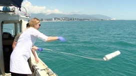 Качество морской воды в Сочи проверяют регулярно