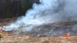 В Перми прошли учения по тушению лесного пожара