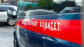 В Подмосковье подростки надругались над сверстницей и били ее электрошокером