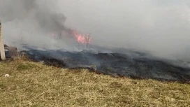 В Ярославском районе дети устроили пожар