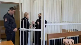 Жительницу Забайкалья приговорили к 12 годам колонии за шпионаж в пользу Украины