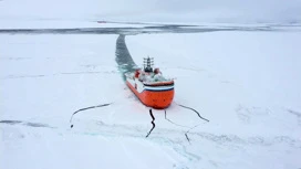 В России отмечается День полярника