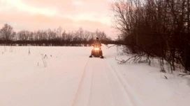 В лесах Поморья продолжается зимний маршрутный учёт животных