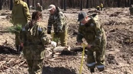 Ежегодная акция "Сад Памяти" стартовала в Тюменской области