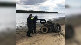 Ярославские пляжи готовят к открытию купального сезона