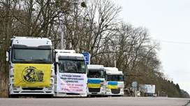 Украинские дальнобойщики устроили акцию протеста из-за закона о мобилизации