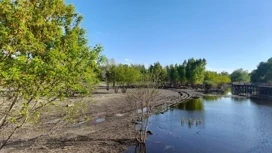 14 мая в Оренбуржье осадки не ожидаются