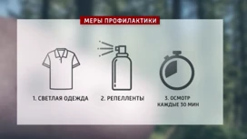 Клещи наступают: как не попасть в лапы паразитов?