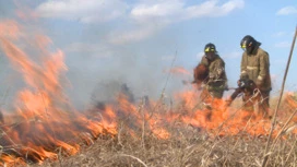 Три крупных природных пожара зафиксировали в Магдагачинском и Зейском округах