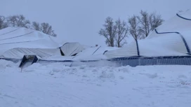 Обрушенный хоккейный корт в селе Бакчар восстанавливать не будут