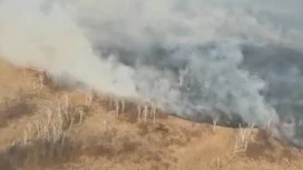 Природный пожар в Хинганском заповеднике удалось ликвидировать