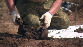 Найти, нельзя оставить: поисковики рассказали о своих экспедициях в Волгоградской области