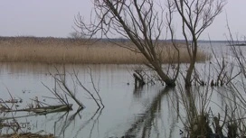 В Ярославской области ожидается мокрый снег и порывистый ветер