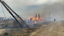 Кобзев: тело мужчины обнаружено в сгоревшем СНТ в Иркутской области